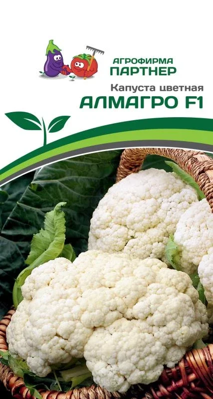 Миниатюра изображения сорта Алмагро