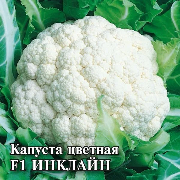 Инклайн
