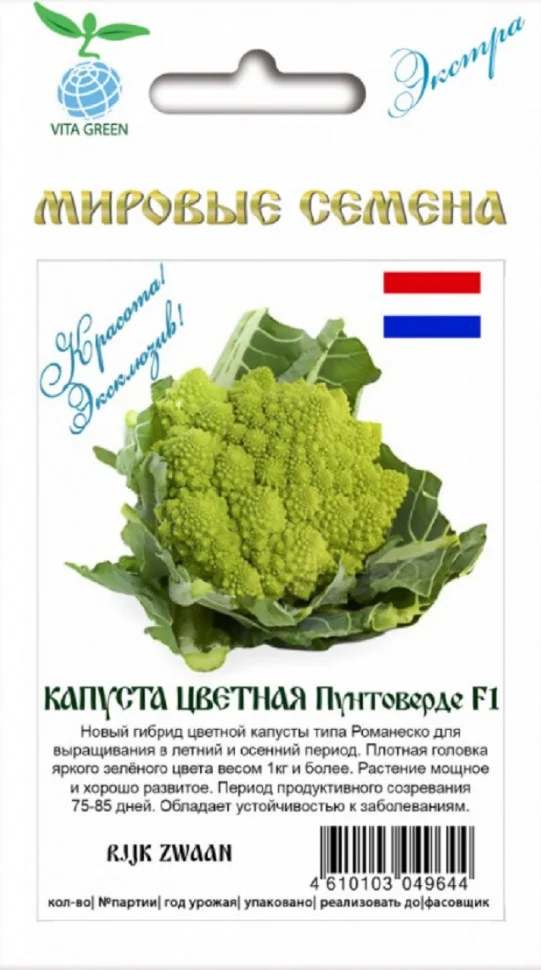 Пунтоверде