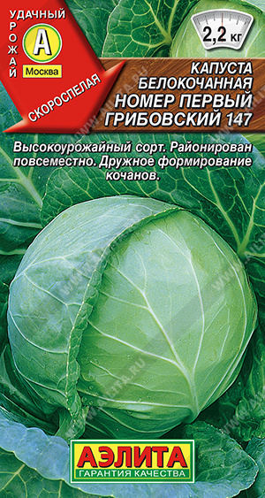 Номер первый Грибовский 147