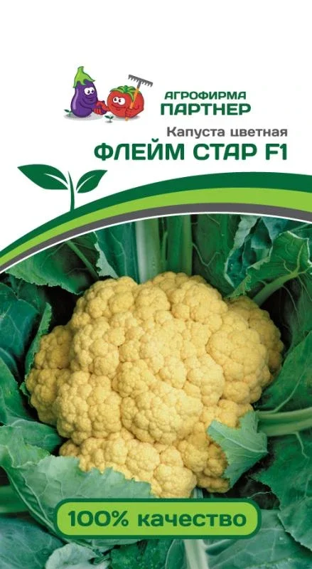 Миниатюра изображения сорта Флейм Стар