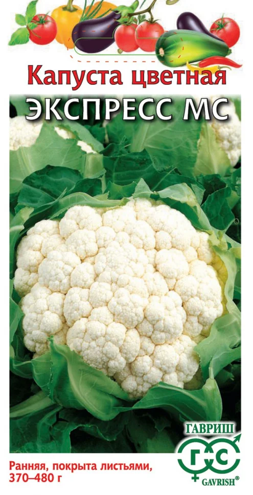 Экспресс МС