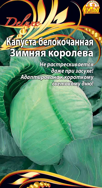 Зимняя королева