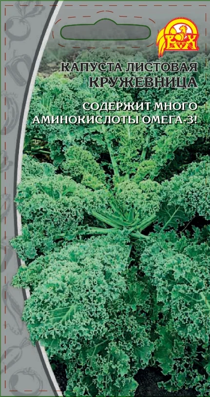 Кружевница