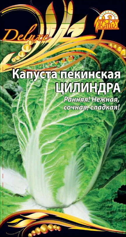 Цилиндра