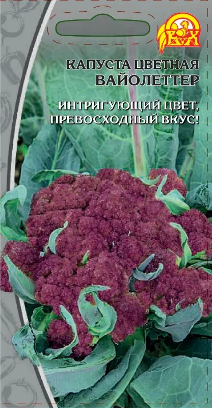 Вайолеттер