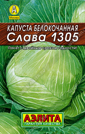 Слава 1305