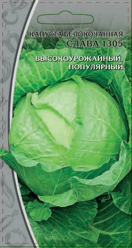 Миниатюра изображения сорта Слава 1305