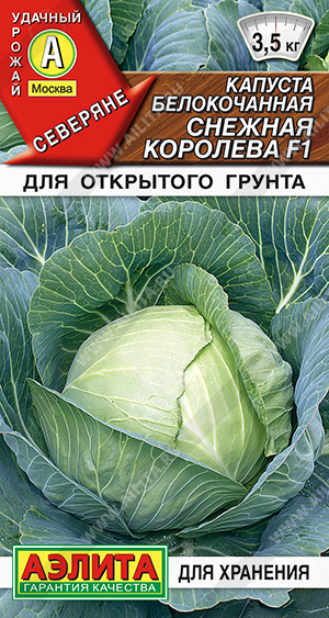 Снежная королева 