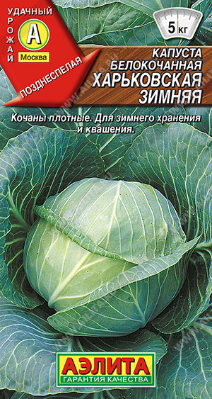 Харьковская зимняя