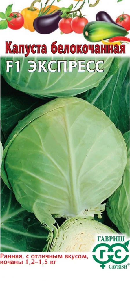 Миниатюра изображения сорта Экспресс 