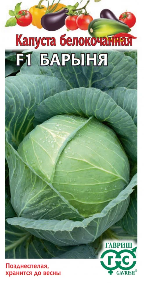 Миниатюра изображения сорта Барыня 