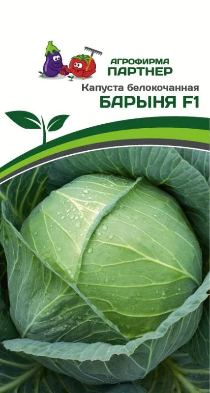 Миниатюра изображения сорта Барыня 