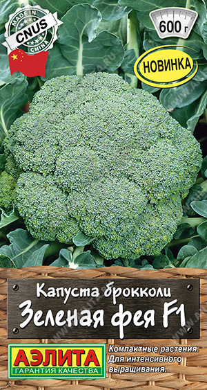 Зеленая фея 