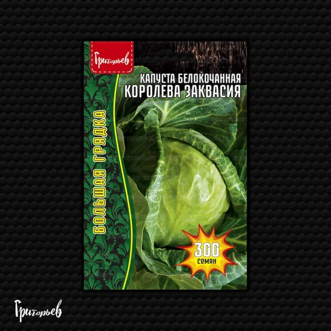 Королева Заквасия