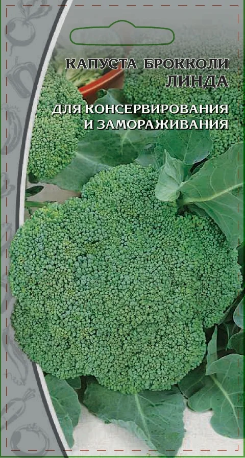 Миниатюра изображения сорта Линда