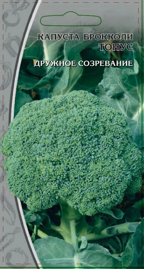 Миниатюра изображения сорта Тонус