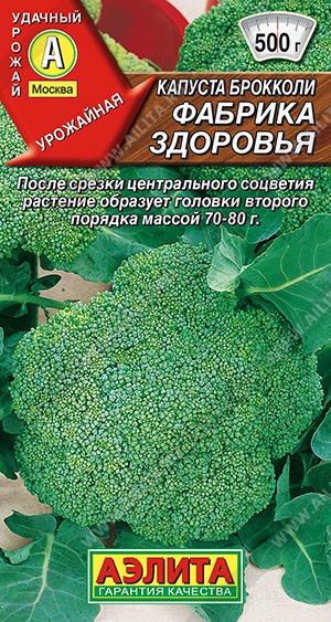 Фабрика здоровья