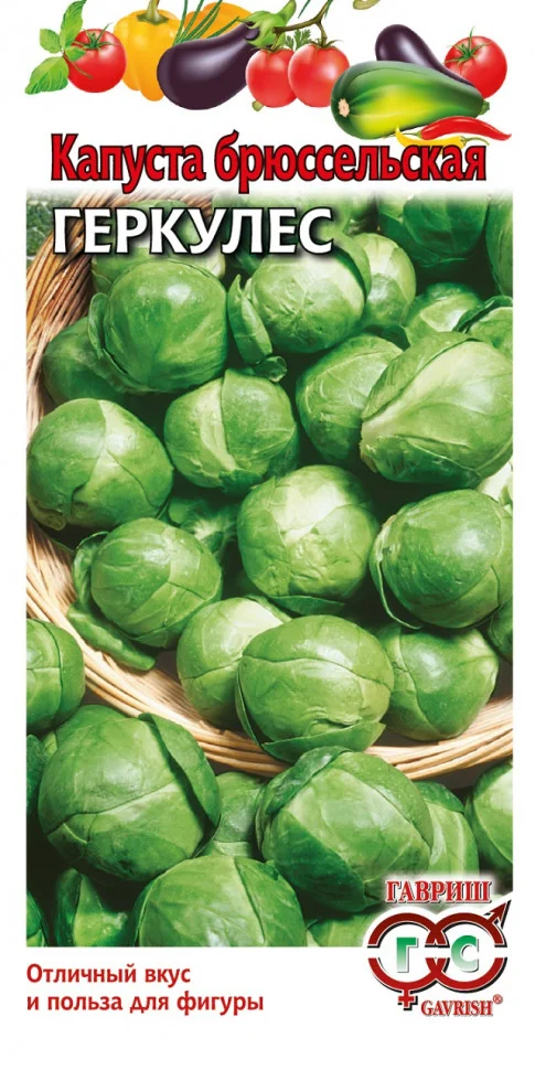 Миниатюра изображения сорта Геркулес