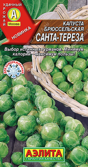 Санта-Тереза