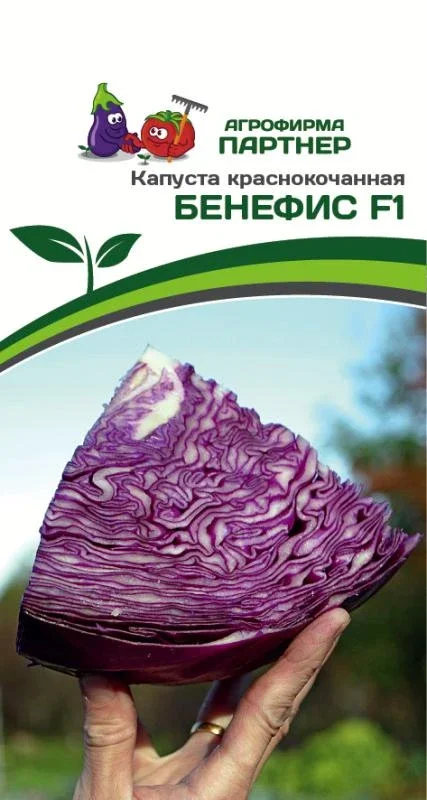Миниатюра изображения сорта Бенефис 