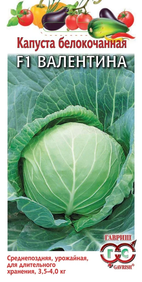 Миниатюра изображения сорта Валентина 