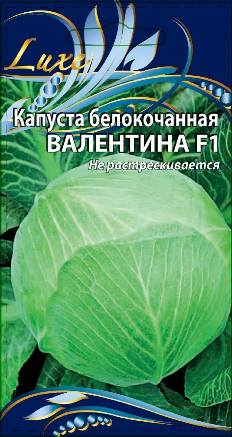 Миниатюра изображения сорта Валентина 