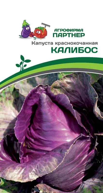 Миниатюра изображения сорта Калибос