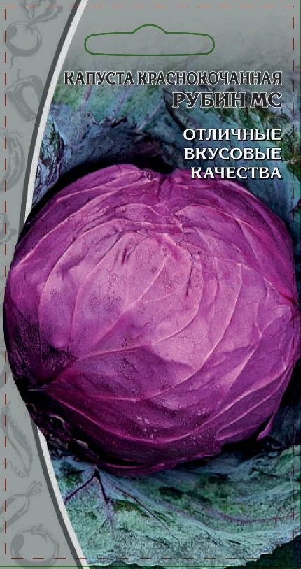 Миниатюра изображения сорта Рубин МС