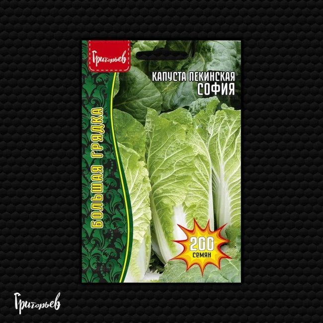 Миниатюра изображения сорта София