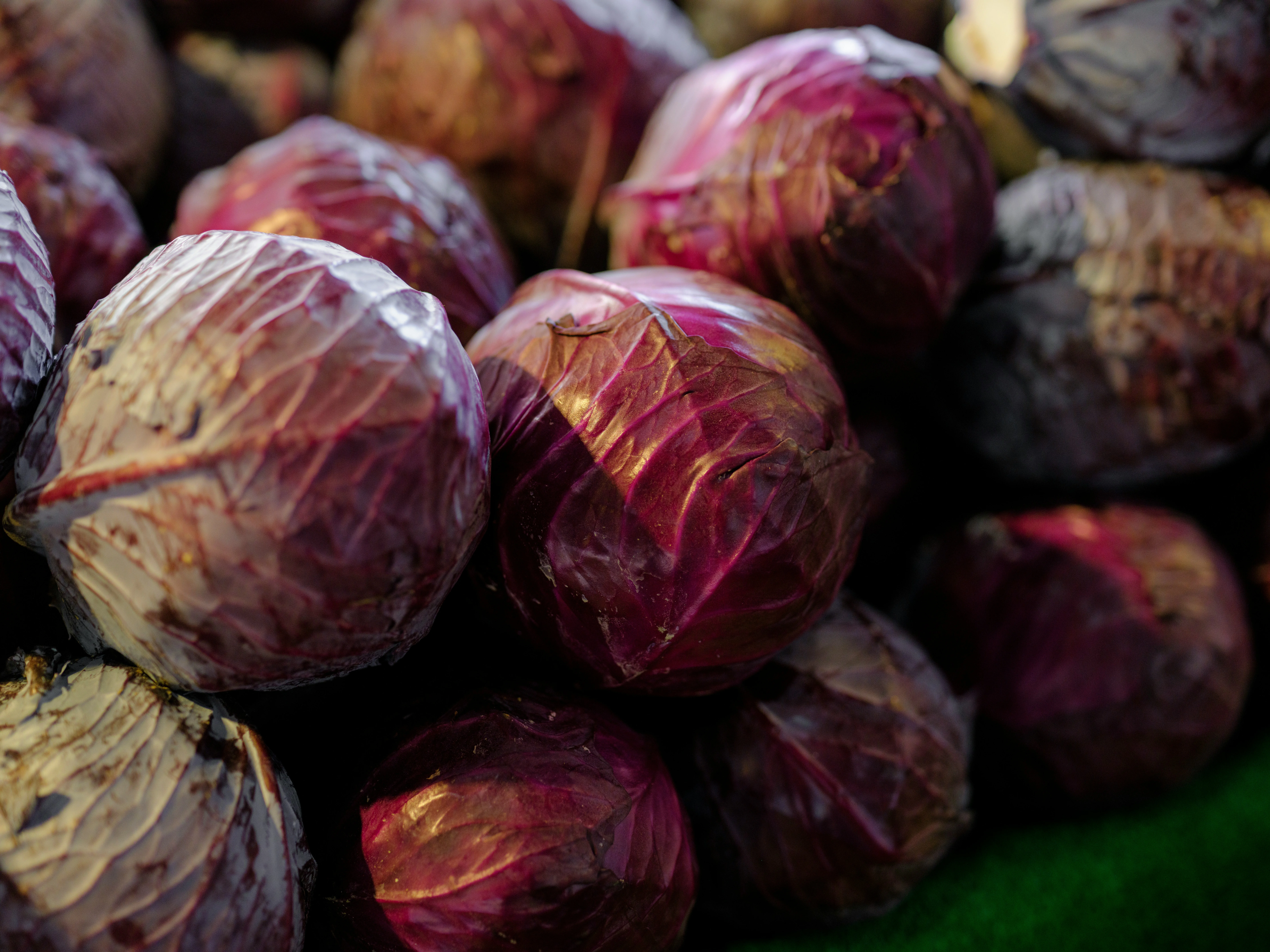 Капуста Краснокочанная