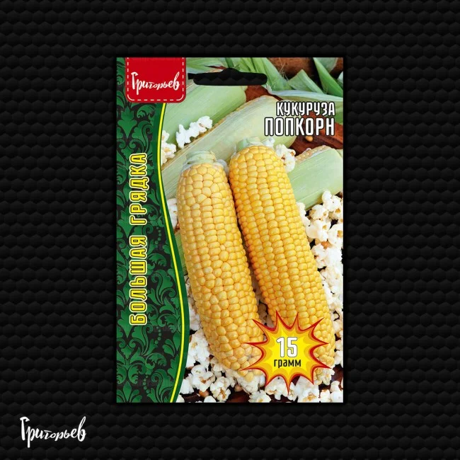 Миниатюра изображения сорта Попкорн