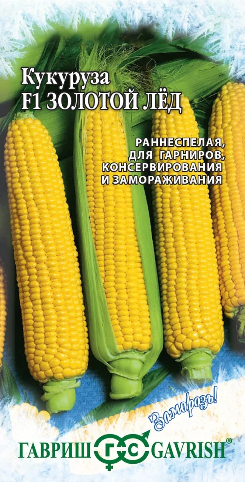 Золотой лед 