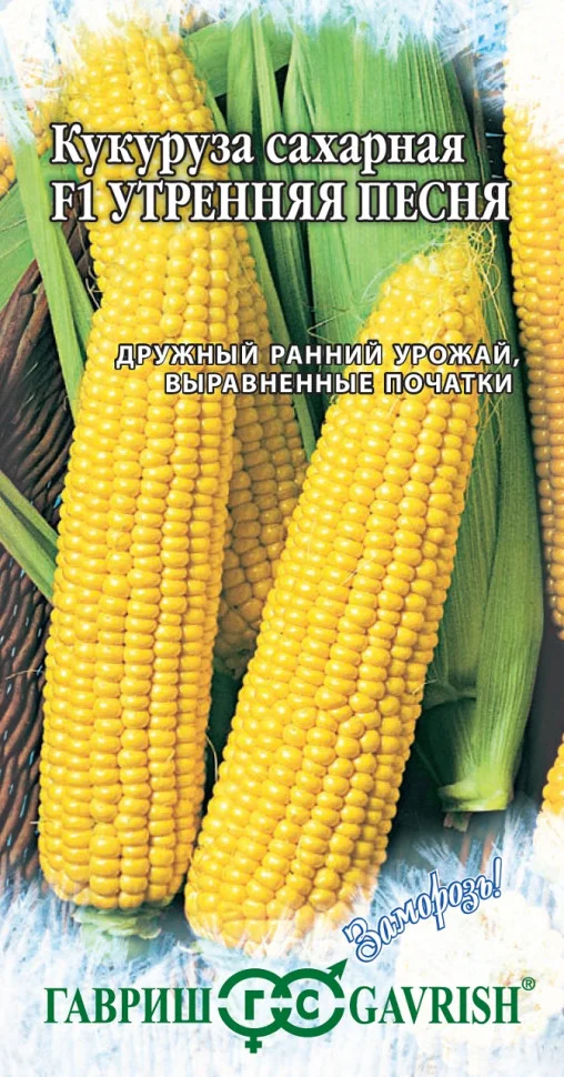 Утренняя песня 