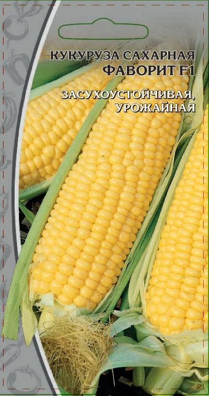 Миниатюра изображения сорта Фаворит