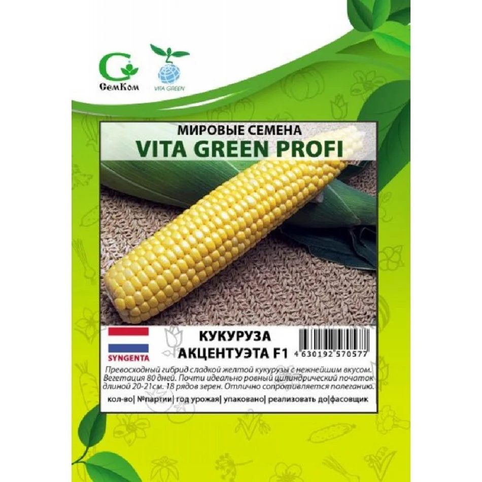 Акцентуэта