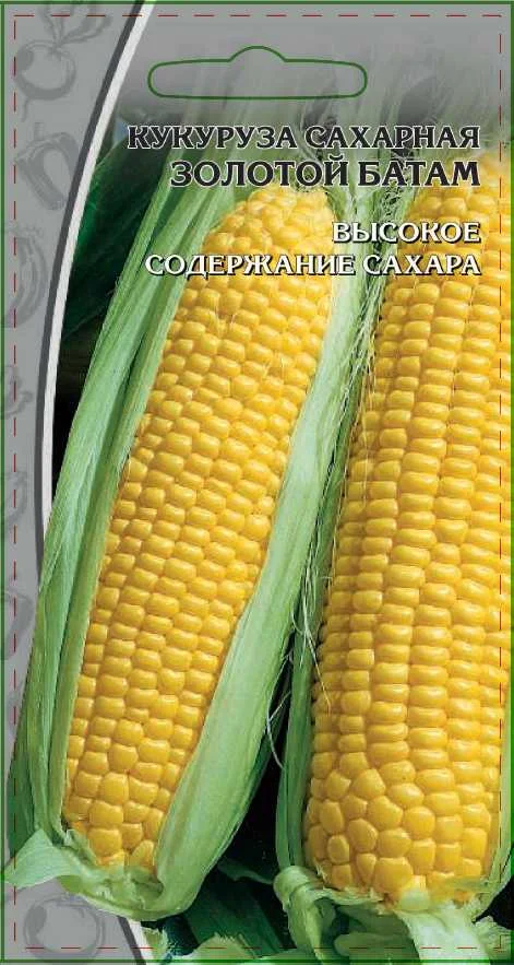 Золотой батам 