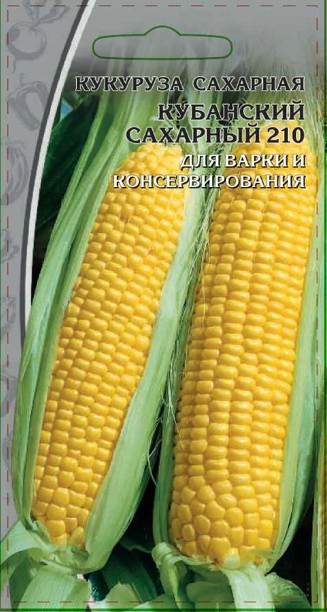 Кубанский сахарный 210 