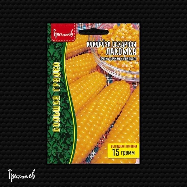 Лакомка сахарная