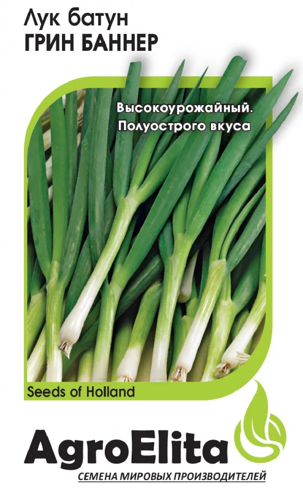 Грин Баннер