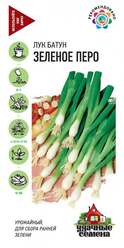 Зеленое перо на зелень