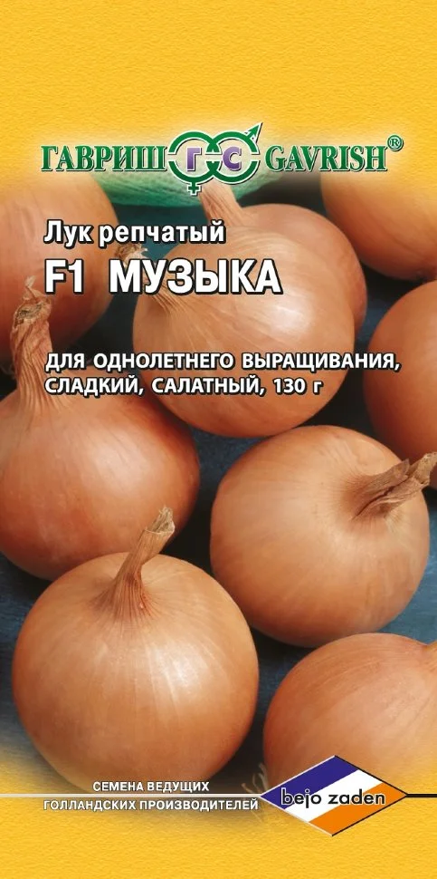 Музыка