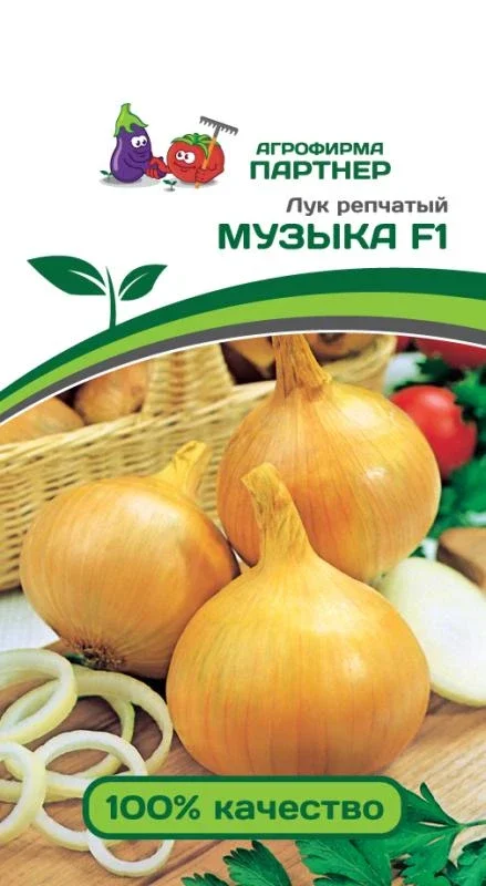 Миниатюра изображения сорта Музыка