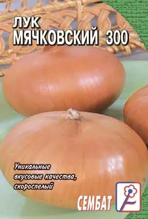 Миниатюра изображения сорта Мячковский 300