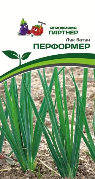 Миниатюра изображения сорта Перформер