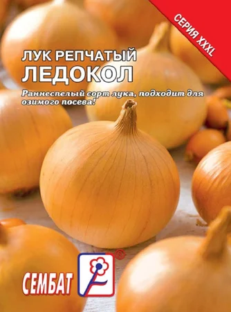 Миниатюра изображения сорта Ледокол 