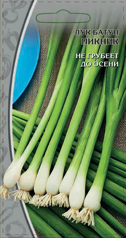 Миниатюра изображения сорта Пикник