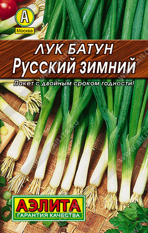 Русский зимний