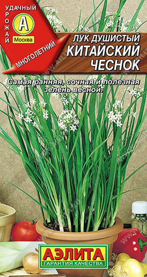 Китайский чеснок