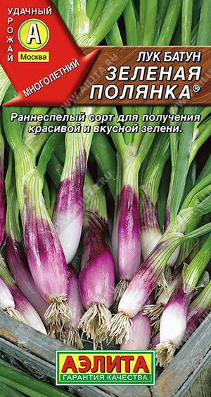 Зеленая полянка